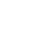 Asset 43 cyber security white (1)