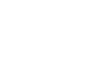 Cisco Partner