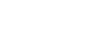 IBM Partner