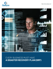 every business must have a disaster recovery plan